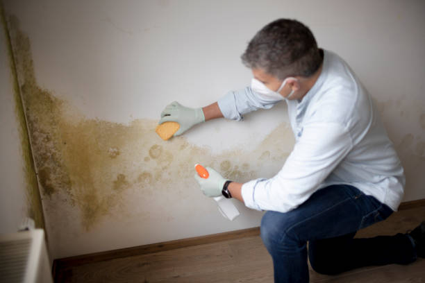 Forensic Mold Investigation