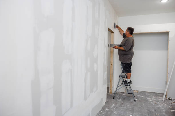 Best Attic Mold Removal  in Simpsonville, KY