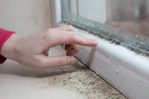 Best Biohazard Mold Removal  in Simpsonville, KY