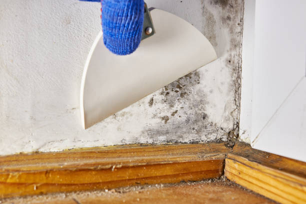 Best Indoor Air Quality Assessment  in Simpsonville, KY