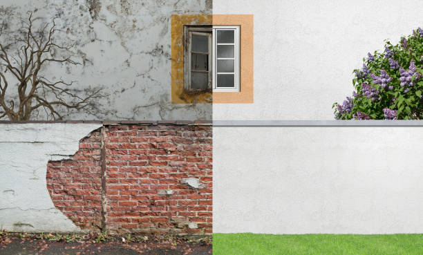 Best Commercial Mold Inspection  in Simpsonville, KY