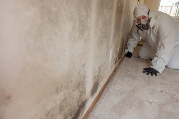 Best Post-Remediation Verification Testing  in Simpsonville, KY